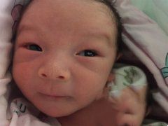 Ⱦɫ����λ����ɹ�ֲ������������̥